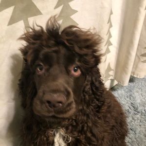 Meet your Posher, Kelly